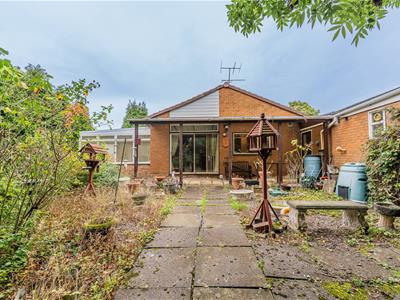 Picture 33